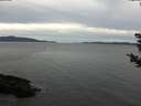 ./images/koeye/fitz-hugh/20181112/fitz-hugh20181112_085501.jpg
