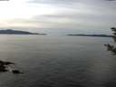 ./images/koeye/fitz-hugh/20181112/fitz-hugh20181112_131002.jpg