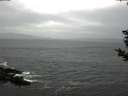 ./images/koeye/fitz-hugh/20181113/fitz-hugh20181113_084001.jpg