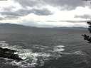 ./images/koeye/fitz-hugh/20181113/fitz-hugh20181113_105502.jpg