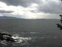 ./images/koeye/fitz-hugh/20181113/fitz-hugh20181113_115001.jpg