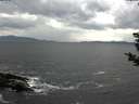 ./images/koeye/fitz-hugh/20181113/fitz-hugh20181113_115501.jpg