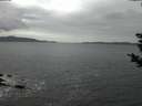 ./images/koeye/fitz-hugh/20181113/fitz-hugh20181113_171002.jpg