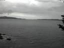 ./images/koeye/fitz-hugh/20181113/fitz-hugh20181113_171502.jpg