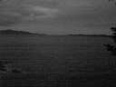 ./images/koeye/fitz-hugh/20181113/fitz-hugh20181113_172502.jpg