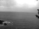 ./images/koeye/fitz-hugh/20181114/fitz-hugh20181114_080002.jpg