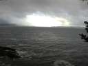 ./images/koeye/fitz-hugh/20181114/fitz-hugh20181114_093501.jpg