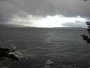 ./images/koeye/fitz-hugh/20181114/fitz-hugh20181114_094001.jpg