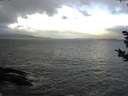 ./images/koeye/fitz-hugh/20181114/fitz-hugh20181114_100001.jpg