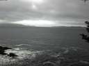 ./images/koeye/fitz-hugh/20181114/fitz-hugh20181114_135001.jpg