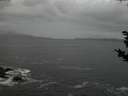 ./images/koeye/fitz-hugh/20181114/fitz-hugh20181114_171502.jpg