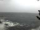 ./images/koeye/fitz-hugh/20181115/fitz-hugh20181115_080501.jpg
