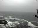 ./images/koeye/fitz-hugh/20181115/fitz-hugh20181115_110501.jpg