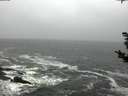 ./images/koeye/fitz-hugh/20181115/fitz-hugh20181115_111001.jpg