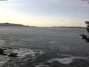 ./images/koeye/fitz-hugh/20181118/fitz-hugh20181118_072501.jpg