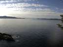 ./images/koeye/fitz-hugh/20181119/fitz-hugh20181119_130501.jpg
