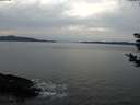 ./images/koeye/fitz-hugh/20181119/fitz-hugh20181119_144502.jpg