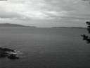 ./images/koeye/fitz-hugh/20181120/fitz-hugh20181120_072001.jpg