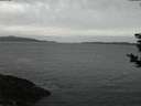 ./images/koeye/fitz-hugh/20181120/fitz-hugh20181120_171501.jpg