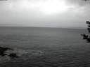 ./images/koeye/fitz-hugh/20181121/fitz-hugh20181121_080501.jpg