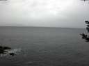 ./images/koeye/fitz-hugh/20181121/fitz-hugh20181121_081501.jpg