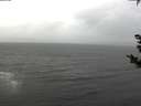 ./images/koeye/fitz-hugh/20181121/fitz-hugh20181121_090501.jpg