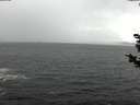 ./images/koeye/fitz-hugh/20181121/fitz-hugh20181121_112501.jpg