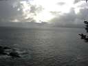 ./images/koeye/fitz-hugh/20181121/fitz-hugh20181121_141501.jpg