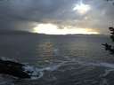 ./images/koeye/fitz-hugh/20181121/fitz-hugh20181121_155002.jpg
