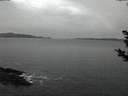 ./images/koeye/fitz-hugh/20181122/fitz-hugh20181122_072001.jpg