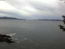 ./images/koeye/fitz-hugh/20181122/fitz-hugh20181122_075501.jpg