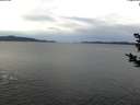 ./images/koeye/fitz-hugh/20181122/fitz-hugh20181122_095502.jpg