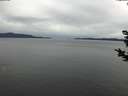 ./images/koeye/fitz-hugh/20181122/fitz-hugh20181122_122502.jpg