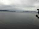 ./images/koeye/fitz-hugh/20181122/fitz-hugh20181122_123502.jpg