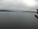 ./images/koeye/fitz-hugh/20181122/fitz-hugh20181122_124502.jpg