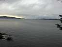 ./images/koeye/fitz-hugh/20181122/fitz-hugh20181122_145001.jpg
