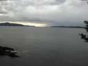 ./images/koeye/fitz-hugh/20181122/fitz-hugh20181122_150502.jpg
