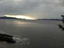 ./images/koeye/fitz-hugh/20181122/fitz-hugh20181122_154002.jpg