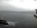./images/koeye/fitz-hugh/20181123/fitz-hugh20181123_081001.jpg