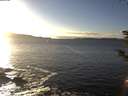./images/koeye/fitz-hugh/20181123/fitz-hugh20181123_151501.jpg