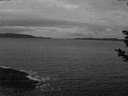 ./images/koeye/fitz-hugh/20181124/fitz-hugh20181124_072002.jpg