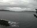 ./images/koeye/fitz-hugh/20181124/fitz-hugh20181124_072502.jpg