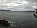 ./images/koeye/fitz-hugh/20181124/fitz-hugh20181124_074001.jpg