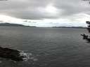 ./images/koeye/fitz-hugh/20181124/fitz-hugh20181124_082001.jpg