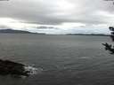 ./images/koeye/fitz-hugh/20181124/fitz-hugh20181124_082501.jpg