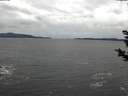 ./images/koeye/fitz-hugh/20181124/fitz-hugh20181124_110501.jpg