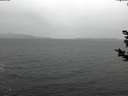 ./images/koeye/fitz-hugh/20181124/fitz-hugh20181124_120501.jpg