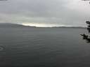 ./images/koeye/fitz-hugh/20181124/fitz-hugh20181124_141501.jpg