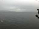 ./images/koeye/fitz-hugh/20181124/fitz-hugh20181124_144001.jpg