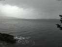 ./images/koeye/fitz-hugh/20181124/fitz-hugh20181124_170501.jpg